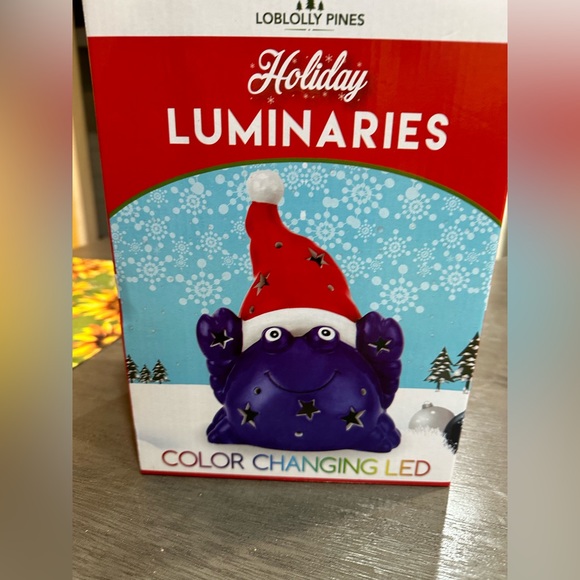 Holiday Luminaries - Picture 2 of 2
